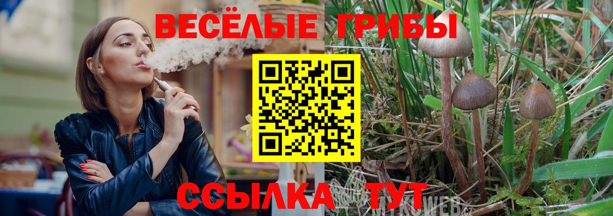 что такое   Вход с VPN  Узловая  Псилоцибиновые грибы MAGIC MUSHROOMS 
