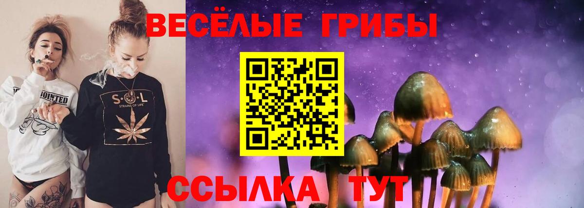 Галлюциногенные грибы MAGIC MUSHROOMS Узловая
