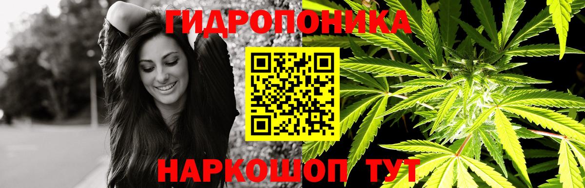 Шишки марихуана тримм  Бошки Шишки THC 21%  Вход с VPN  Узловая 